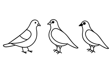  a 4 different bird line art vector illustration