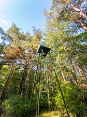 A tall and impressive bell tower rises majestically amidst a sea of vibrant trees in a serene forest setting