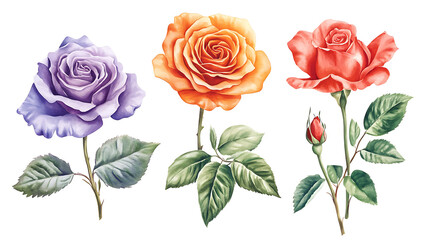 Naklejka premium Watercolor floral illustration set with delicate flowers and leaves, isolated on white background. Soft watercolor floral bouquet set, vibrant blooms and greenery, isolated on white background