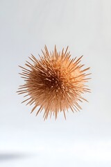 A spherical arrangement of wooden toothpicks resembling a spiky ball.