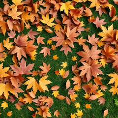 autumn leaves background