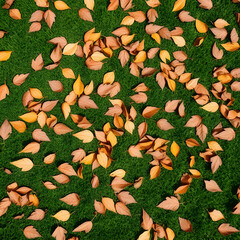 autumn leaves background