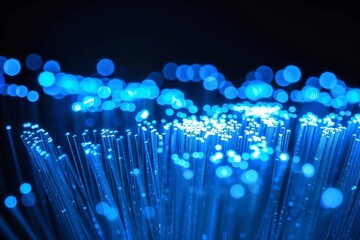 Understanding optical fiber  the backbone of modern communication networks and data transmission