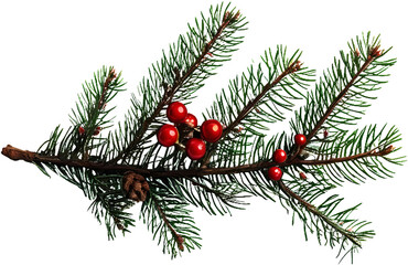 christmas tree branches with cones，Transparent PNG
