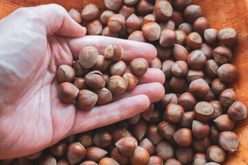 Handful of Fresh Hazelnuts