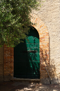 Massive green wooden gate and olive tree