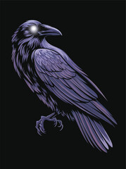 crow raven bird photos with metallic spring creative photos