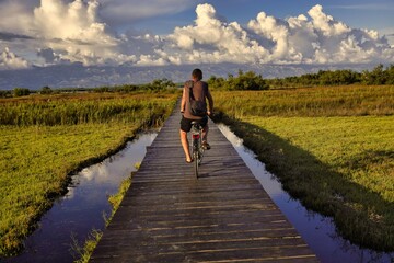 Obraz premium tourist on bicycle rides between water 