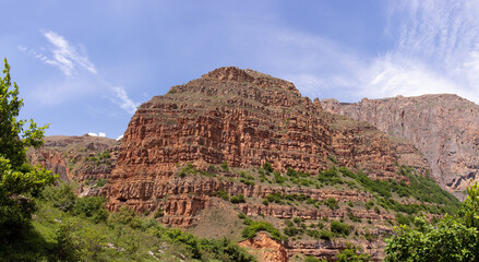 Obraz premium Green trees on beautiful rocks high in the mountains.