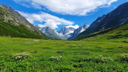 Obraz premium Valley meadow geography concept. Vast green meadow surrounded by majestic mountains under a clear blue sky.