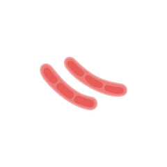 Klebsiella Pneumoniae illustration