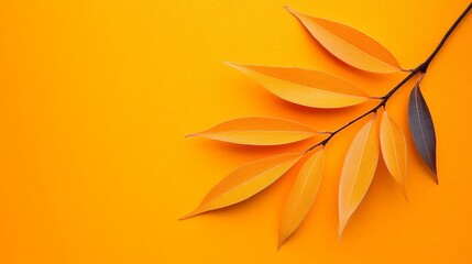 Autumnal Orange:  A single branch with vibrant orange leaves rests gracefully against a bright orange background, evoking a sense of warmth and tranquility. 