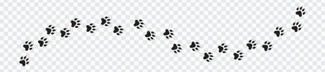 Animal Paw Print Vector | Cat and Dog Footprint Illustration