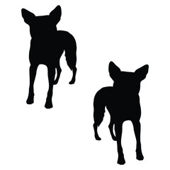 Cattle dog Silhouette, Cattle dog Vector Silhouette, Cattle dog cartoon Silhouette, Cattle dog illustration, Cattle dog icon Silhouette, Cattle dog Silhouette illustration