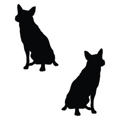 Cattle dog Silhouette, Cattle dog Vector Silhouette, Cattle dog cartoon Silhouette, Cattle dog illustration, Cattle dog icon Silhouette, Cattle dog Silhouette illustration