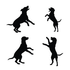 dog set line art silhouette vector white background
