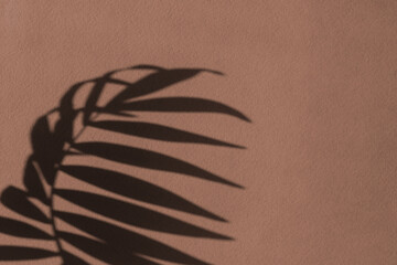 Shadows on the wall. A demonstration of the mocha mousse color. The trending fashionable color of...