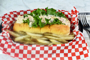tuna sub   with lettuce  served with  home made french fries