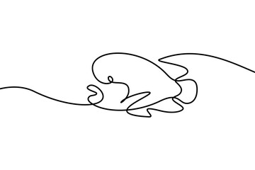 Fish in continuous line art drawing style. Cute abstract fish with big forehead black linear design isolated on white background. Vector illustration