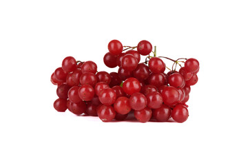 Freshly cut unwashed bunch of viburnum berries on a white background.