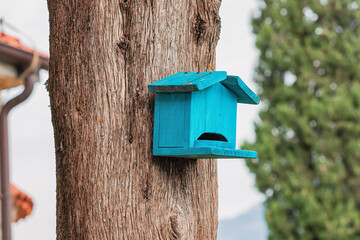Bright blue birdhouse hanging on a tree trunk in a garden