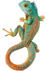 Isolated Green Iguana on White Background - Reptile Close-Up, Exotic Lizard Portrait, Pet Iguana Stock Photo