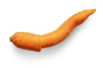 Fresh curved carrot isolated on white background. Strange vegetables