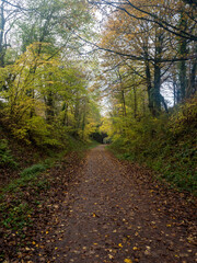 Fototapeta premium Footpath on old railway track bed in Autumn