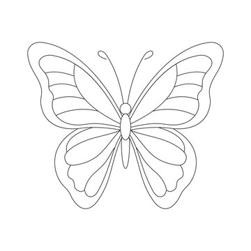 recommend clip art: Elegant Butterfly Line Art Design