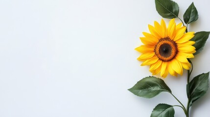 A vibrant yellow sunflower, bursting with life against a rustic wooden backdrop, evokes the beauty of summer