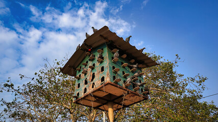 tree house for outdoor pigeons 