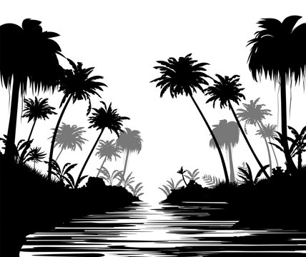 River in forest. Image of black silhouette isolated on white background. Vector tropical landscape. Plants in jungle. Southern thickets. Tall palm trees.