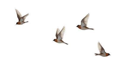 Obraz premium a group of small birds in flight captured mid-air against a white background, ideal for avian stock images and bird migration-themed content 