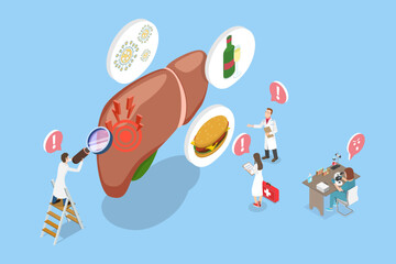 3D Isometric Flat Vector Illustration of Medical Exam, Study On Liver Health And Diseases