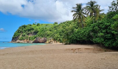 Obraz premium Plage de Guadeloupe