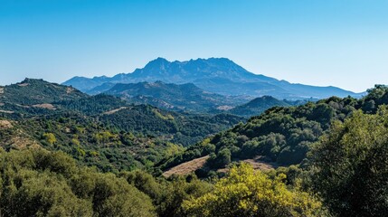 Obraz premium Panoramic view of rolling hills and valleys under a clear blue sky in a serene mountain landscape