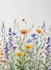 Tranquil watercolor wildflowers in various hues on a blank white surface, hand-drawn, delicate petals, vibrant tones, decorative, decorative art