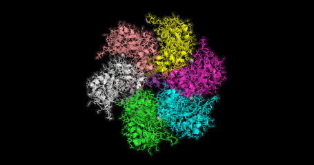  Hexameric Ring Structure of the Papillomavirus E1 Helicase, 3D Molecule, 4K
