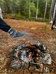 fire in pine forest hike rest. High quality photo