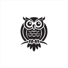 owl on white background
