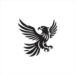 Obraz premium eagle with wings