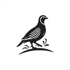 silhouette of a bird