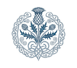 Scottish thistle vector line art in Celtic style flower 