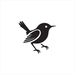 illustration of a bird