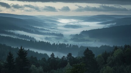 Obraz premium Misty mountain valley at dawn, panoramic view of rolling hills and forests shrouded in fog.