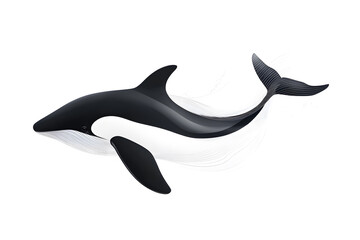 Obraz premium Blue whale hand drawn illustration isolated on white background. Whale. 