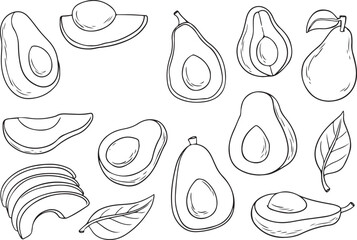Avocado line art vector set. Whole avocado, halves of avocado and leaves. Hand drawn botanical elements isolated on a white background.  Avocado illustrations in doodle style