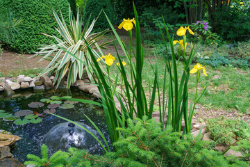 Beautiful small garden pond with fountain, stone shores and many decorative evergreens spring. Yellow iris flowers (yellow flag) on garden pond. Nature concept for design