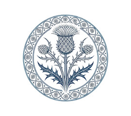 Scottish thistle vector line art in Celtic style flower 
