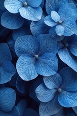 A close-up shot of a bunch of blue flowers, great for decorative purposes or as a symbol of serenity